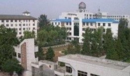 内乡一高最新爆料